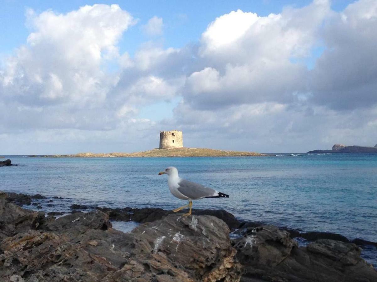 Maria Antonietta House Βίλα Porto Torres Εξωτερικό φωτογραφία